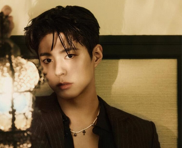 Amazon.co.jp: 2019 PARK BO GUM ASIA TOUR IN JAPAN [DVD